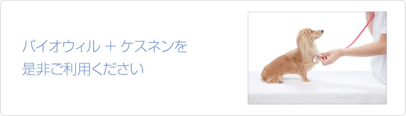 バイオウィル＋ケスネンを是非ご利用ください。