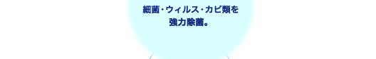 細菌・ウィルス・カビ類を強力除菌。